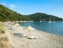 Mljet